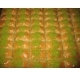 yaş baklava